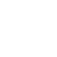 Trellance Cooperative Holdings, Inc.
